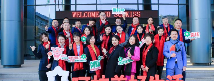 珍琦文化 | 二十年磨砺，不忘初心—2018年度表彰大会暨2019迎新晚会